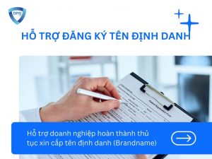 dich-vu-ho-tro-dang-ky-ten-dinh-danh