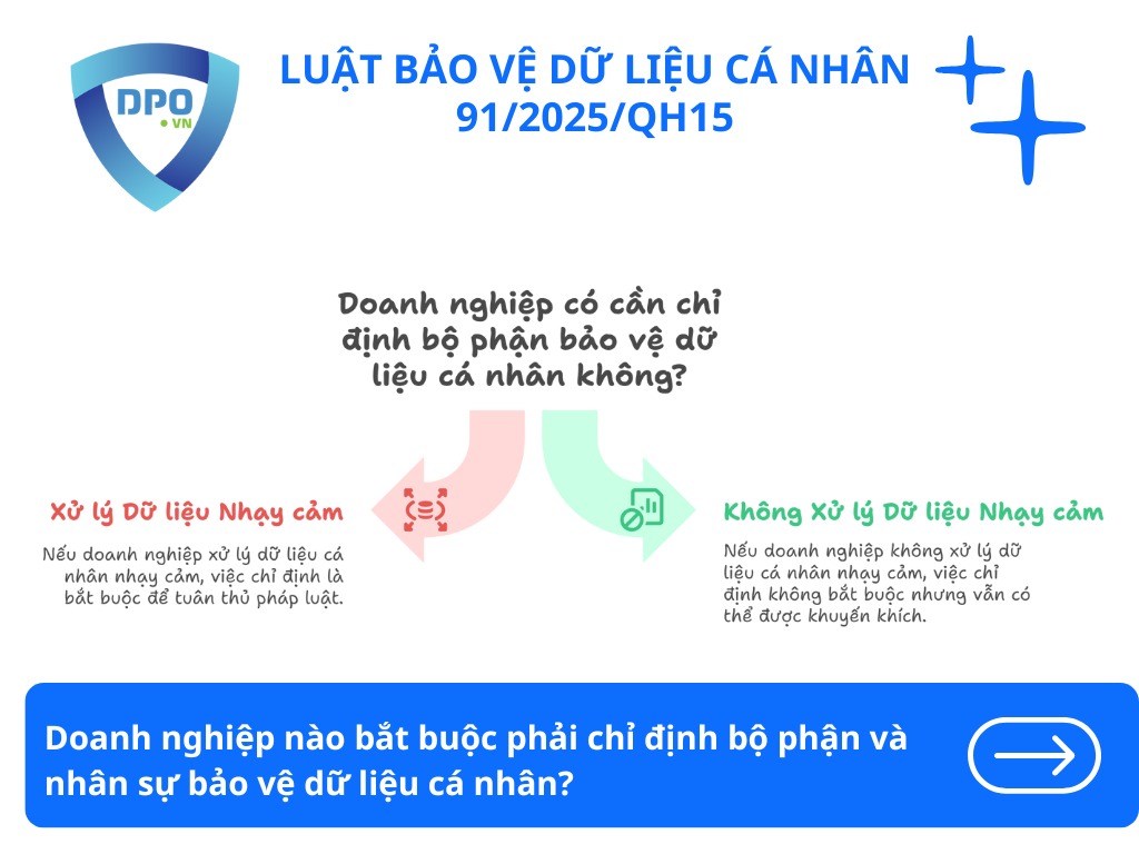 Có bắt buộc phải thành lập bộ phận bảo vệ dữ liệu cá nhân không? 2 doanh-nghiep-nao-bat-buoc-phai-chi-dinh-bo-phan-va-nhan-su-bao-ve-du-lieu-ca-nhan