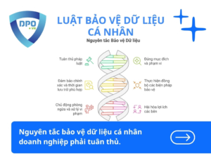 Nguyen-tac-bao-ve-du-lieu-ca-nhan-doanh-nghiep-phai-tuan-thu