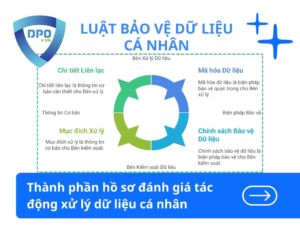 Thành Phần Hồ Sơ Đánh Giá Tác Động Xử Lý Dữ Liệu Cá Nhân