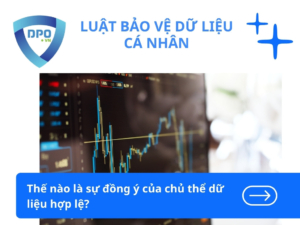 The-nao-la-su-dong-y-cua-chu-the-du-lieu-hop-le