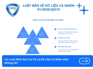 Các Loại Hình Dịch Vụ Xử Lý Dữ Liệu Cá Nhân Gồm Những Gì?