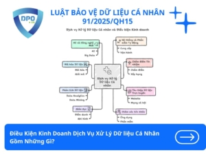 Điều Kiện Kinh Doanh Dịch Vụ Xử Lý Dữ liệu Cá Nhân Gồm Những Gì?